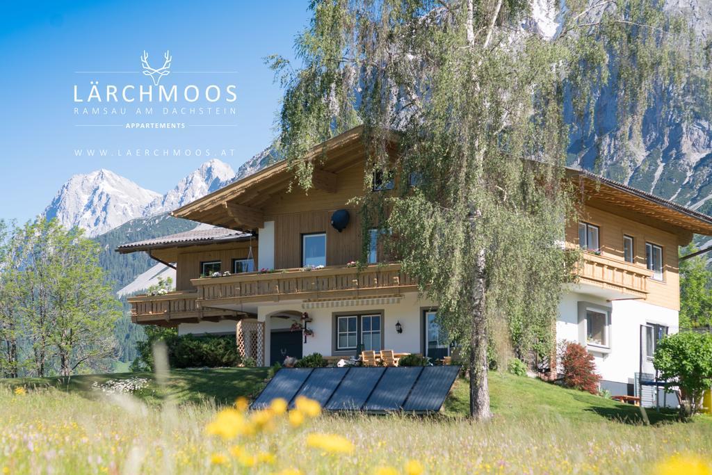 רמסאו אם דכשטיין Appartements Laerchmoos מראה חיצוני תמונה