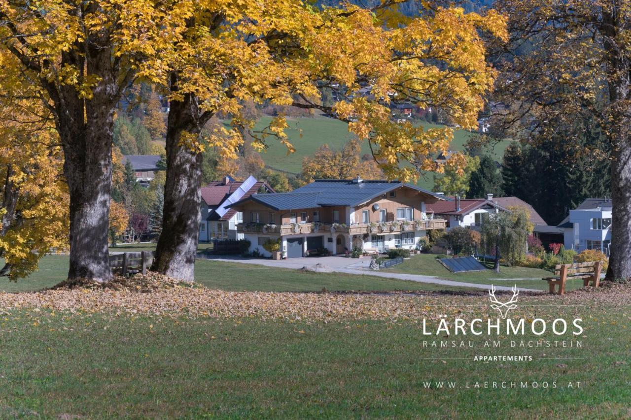 רמסאו אם דכשטיין Appartements Laerchmoos מראה חיצוני תמונה